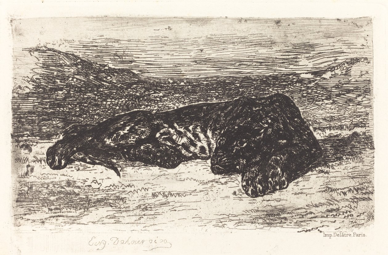 Çölde Uyuyan Kaplan, c. 1830. by Eugène Delacroix