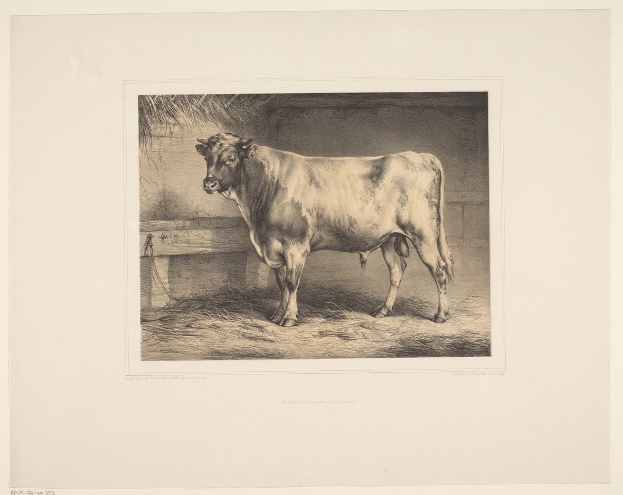 Stier Diverse dieren (dizi başlığı) Animal Studies (dizi başlığı) by Eugène Verboeckhoven