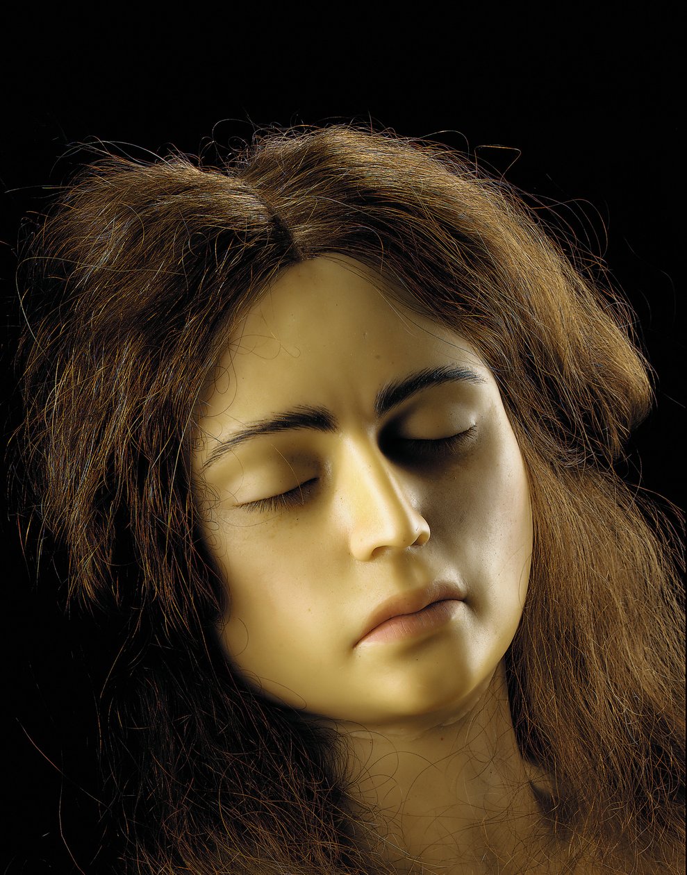 Yumurtalık hamileliğinin anatomik modeli, detay by European School