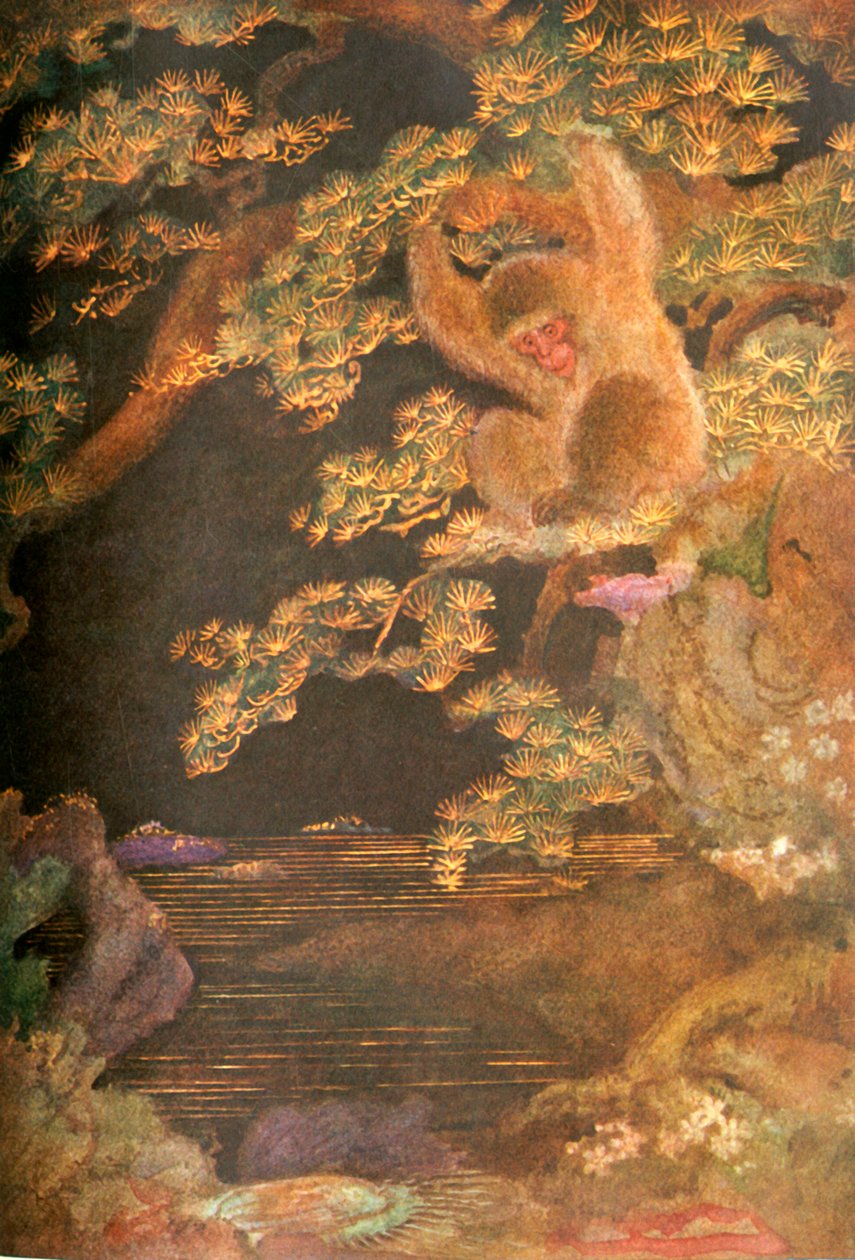 "Jöle Balık ve Maymun", 1912. by Evelyn Paul