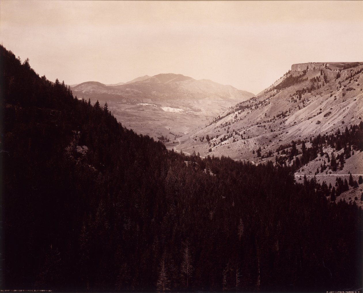  by F. Jay Haynes