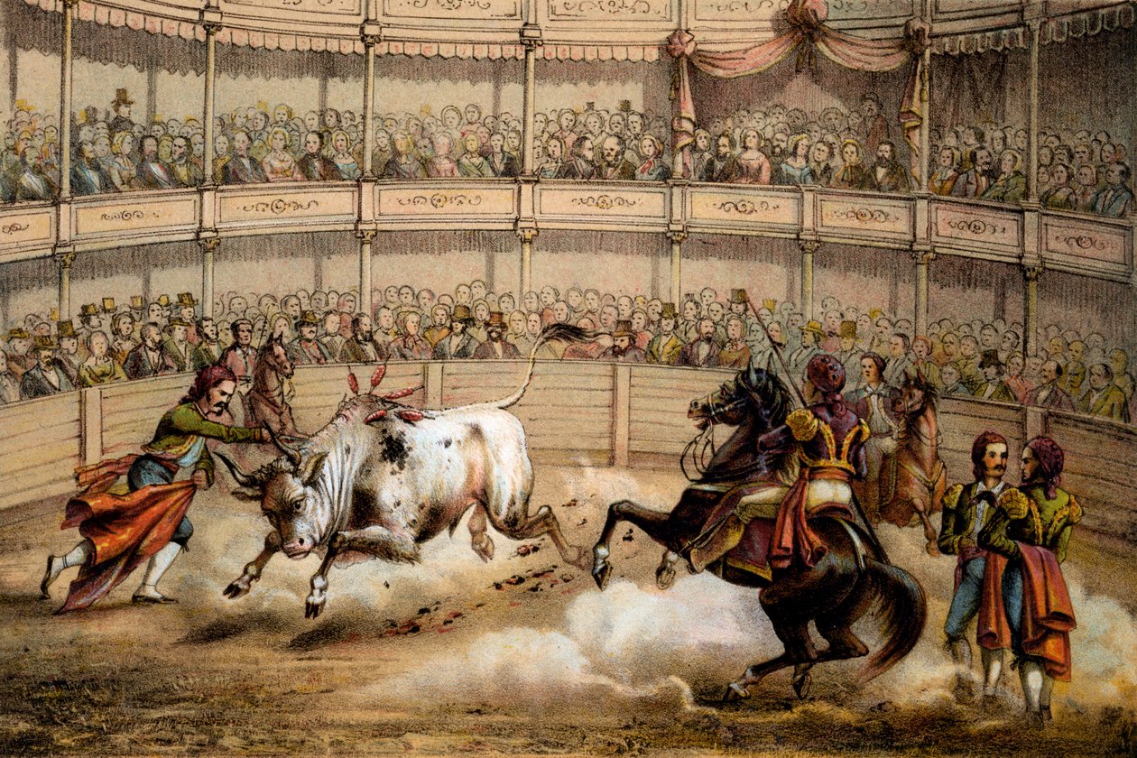 ಬುಲ್‌ಫೈಟ್, 1840 ಟರ್ಕಿ by Federico Mialhe