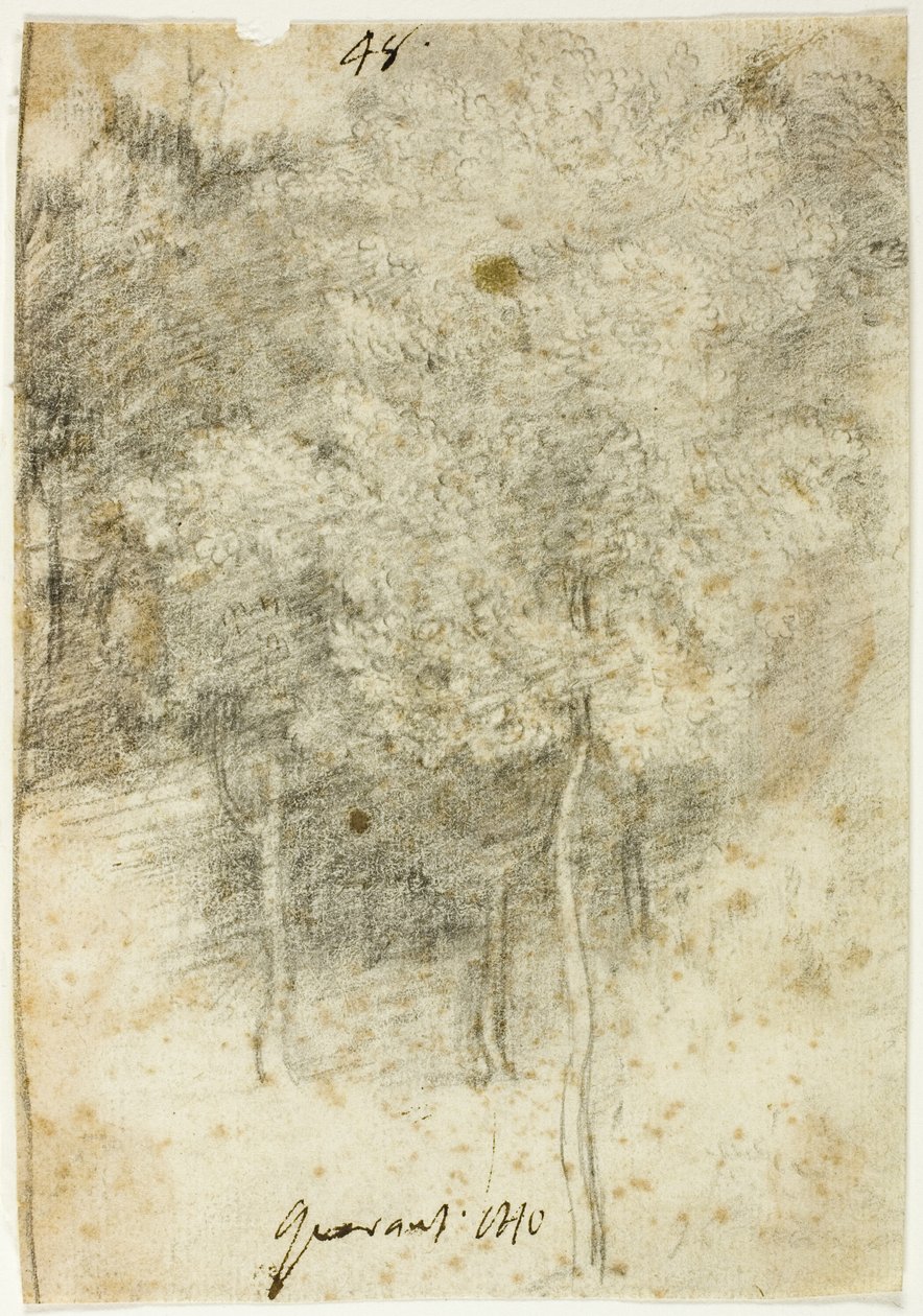 Ağaç Korusu by Federico Barocci
