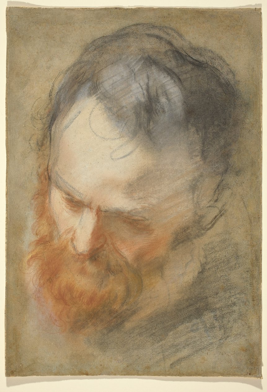 Sakallı Bir Adamın Başı by Federico Barocci