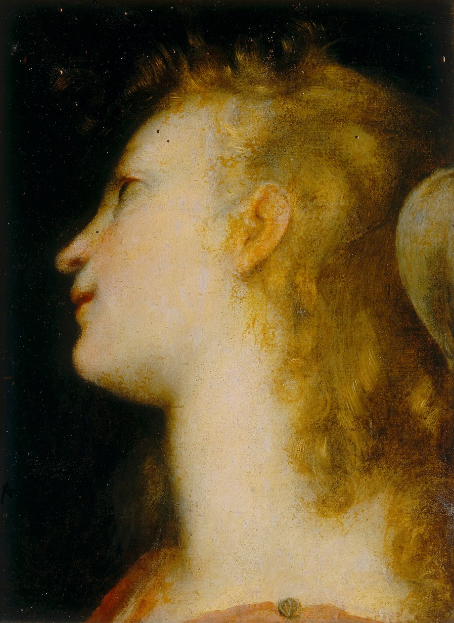 Bir meleğin başı by Federico Barocci