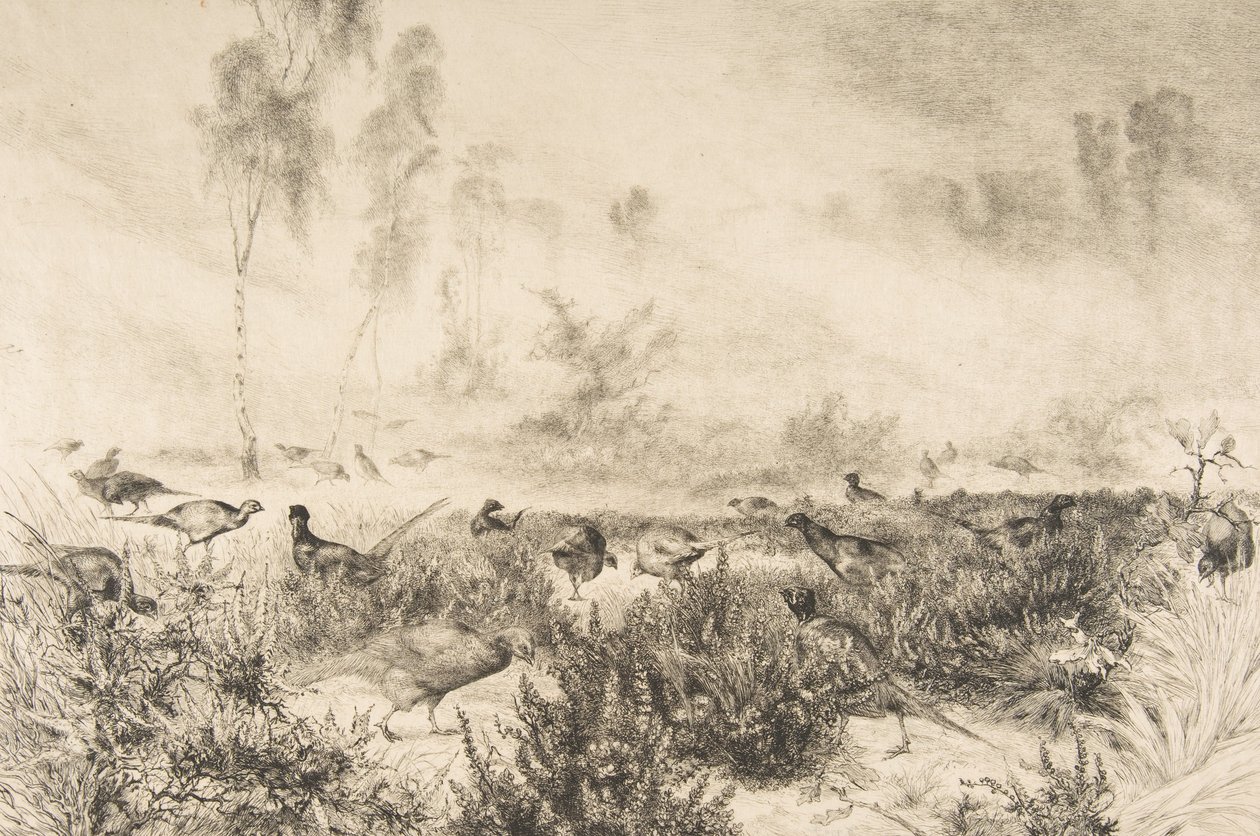 Sabah sisleri, 1882. by Felix Bracquemond