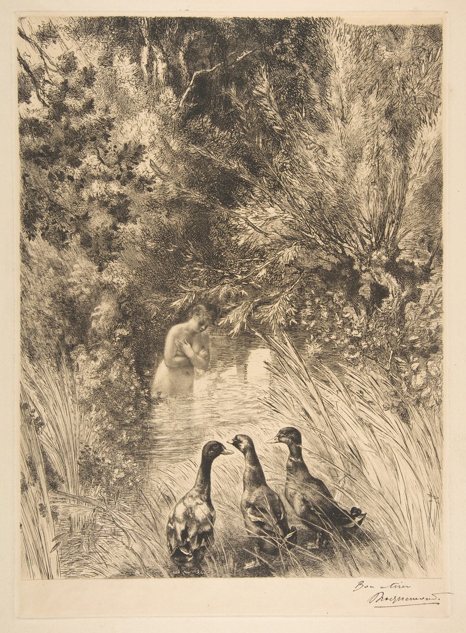 Sürpriz ördekler, 1882. by Felix Bracquemond