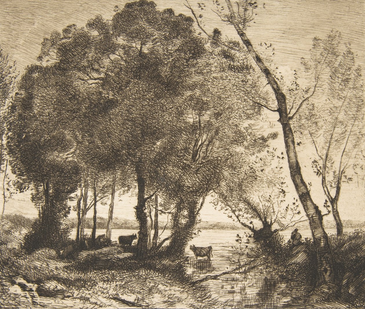 Göl, 1861. by Felix Bracquemond
