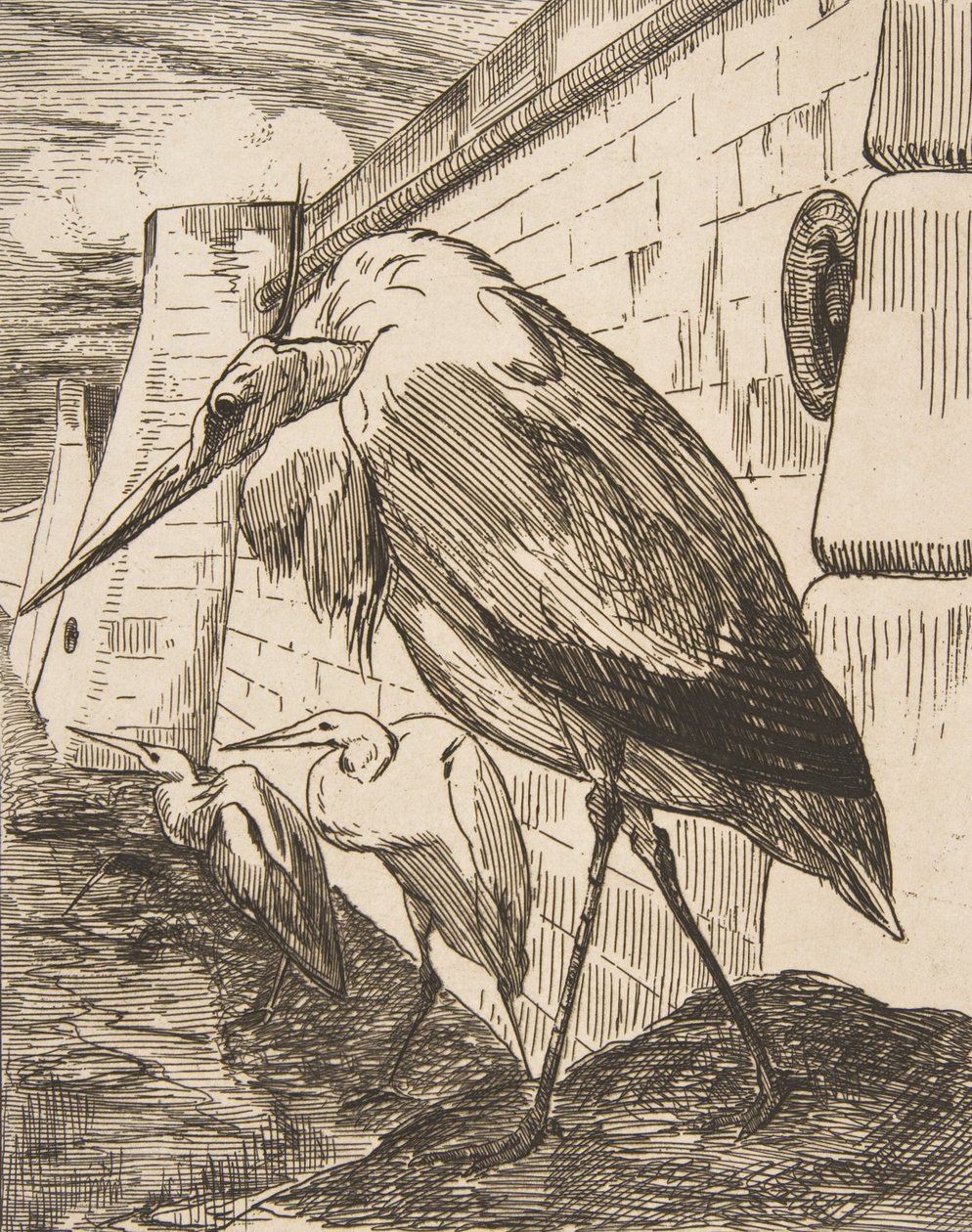 Leylekler, 1870