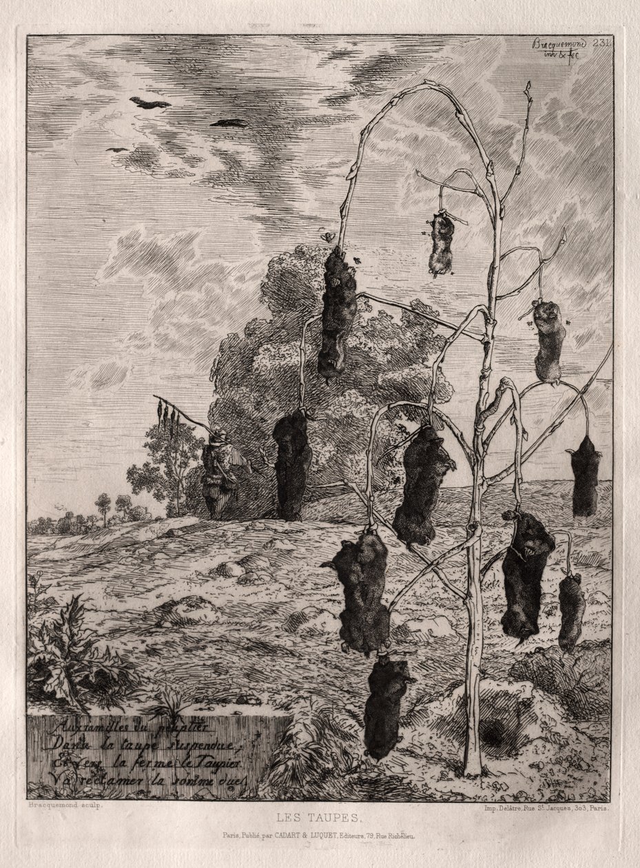 benler by Felix Bracquemond