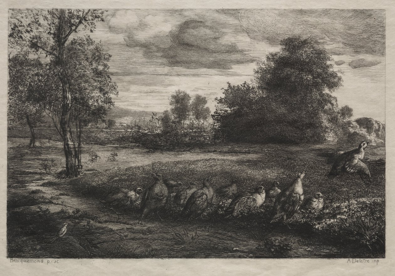 Sipariş Çağrısı by Felix Bracquemond