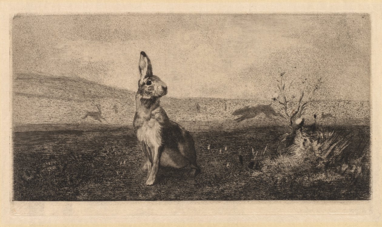 Hare Le Hare, 1865. by Felix Bracquemond