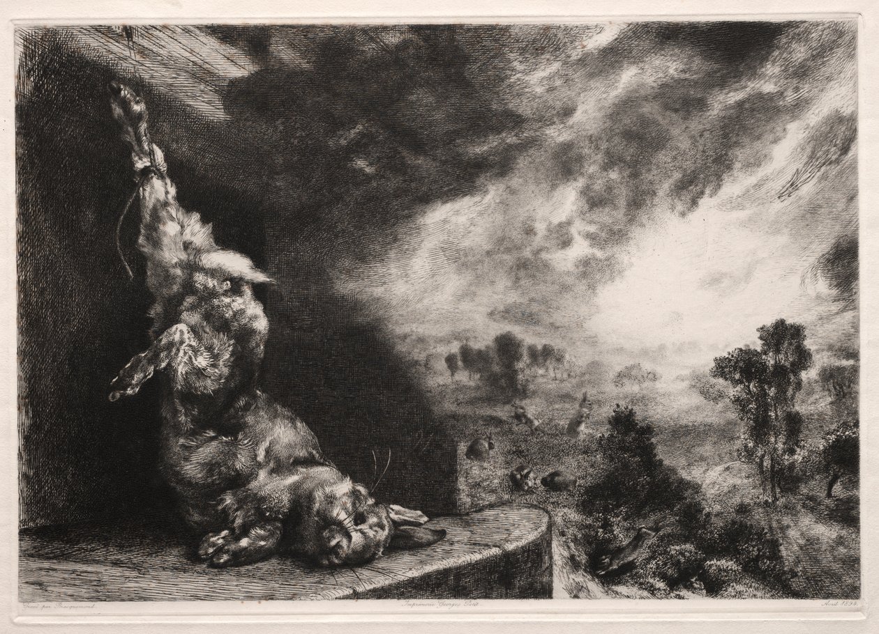 büyük tavşan by Felix Bracquemond