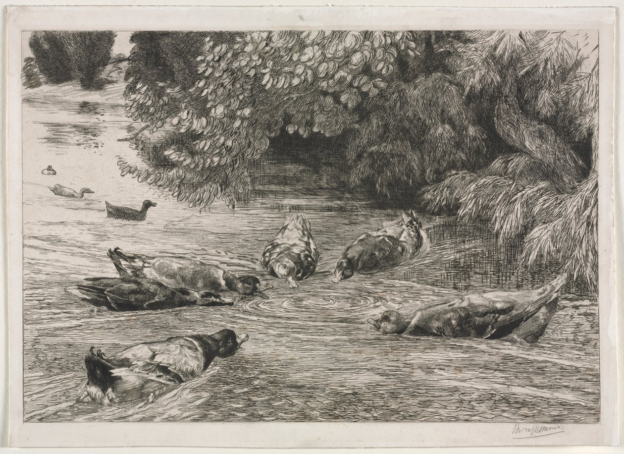 Soru İşareti by Felix Bracquemond