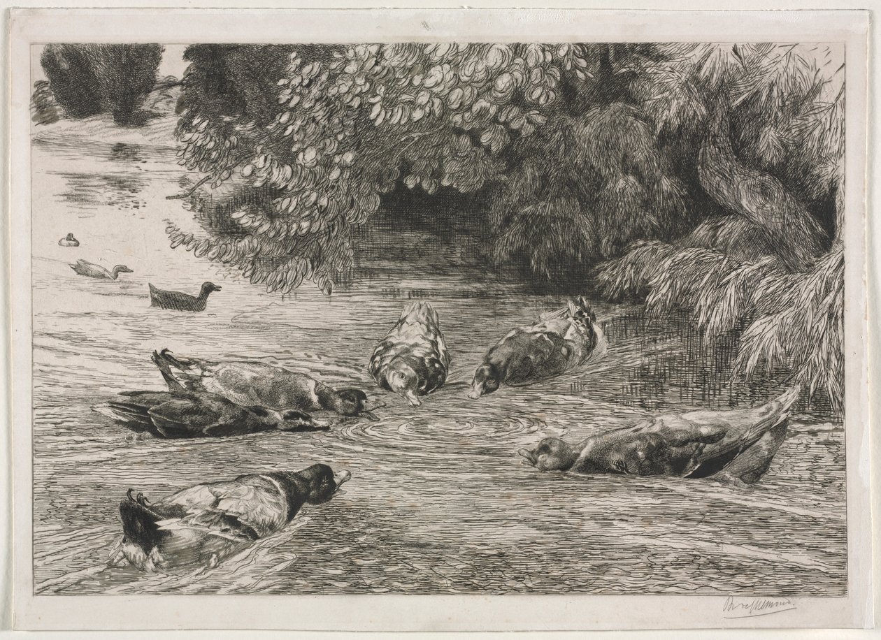 Soru İşareti, c. 1865. by Felix Bracquemond