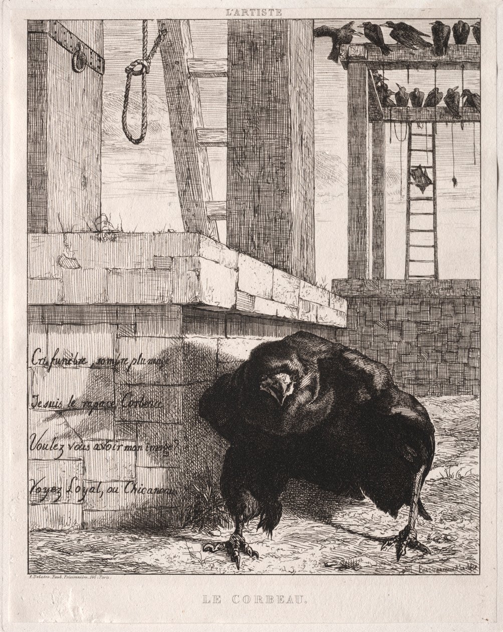 Kuzgun, 1854. by Felix Bracquemond