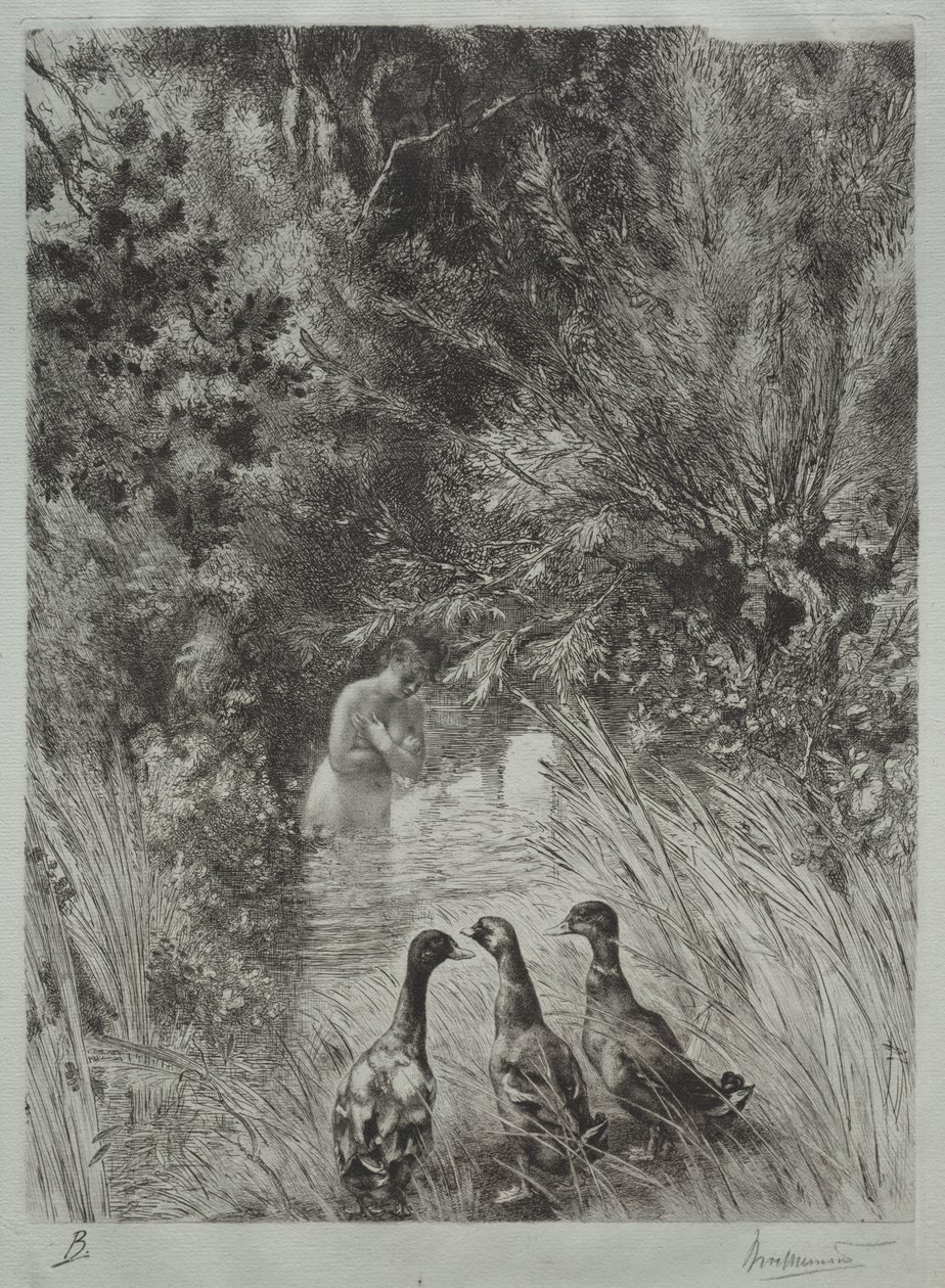 Sürpriz Ördekler by Felix Bracquemond