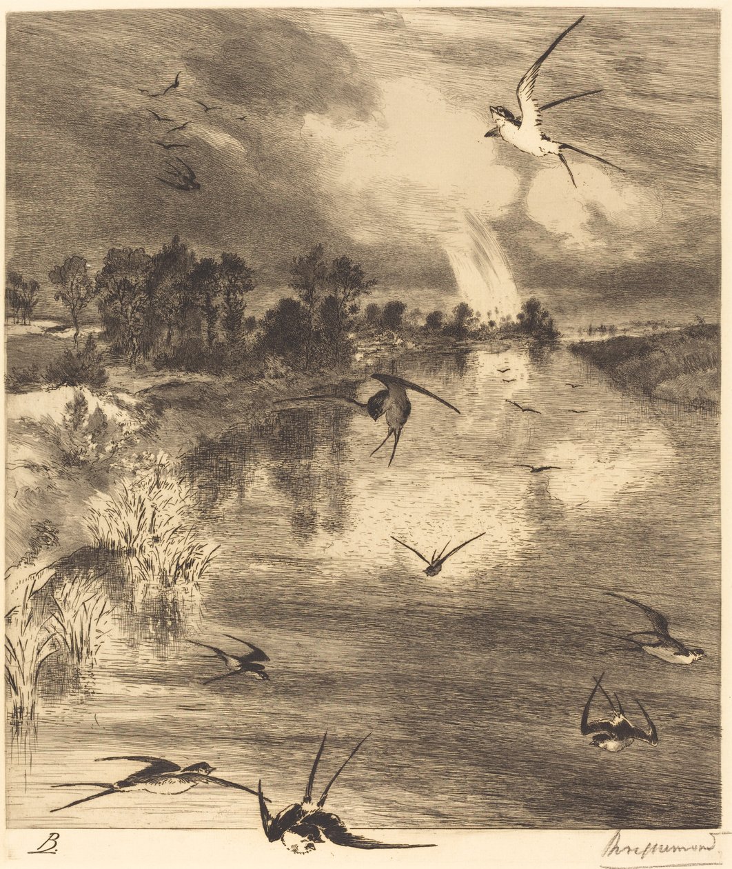 Kırlangıçlar by Felix Bracquemond
