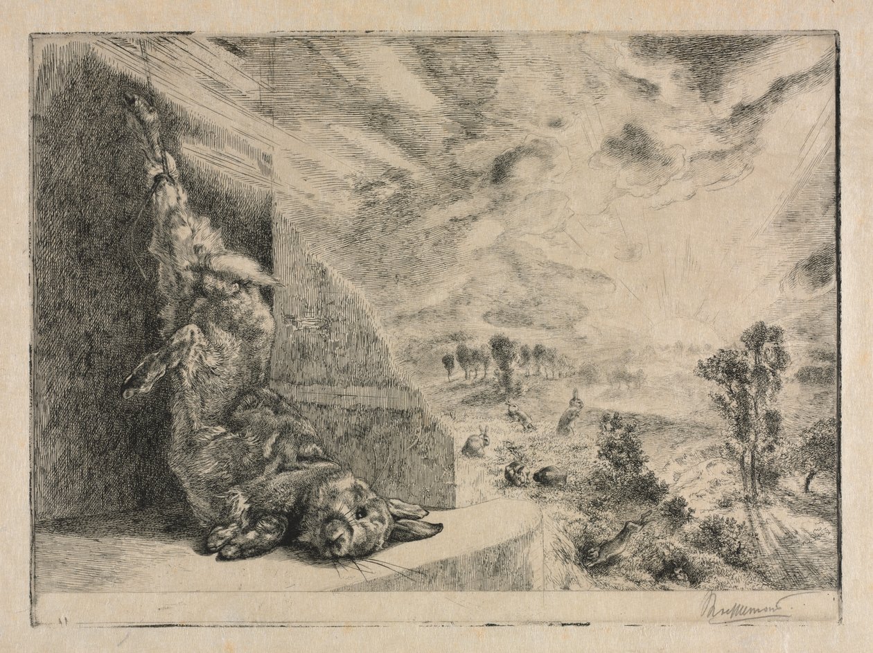 vahşi tavşan by Felix Bracquemond
