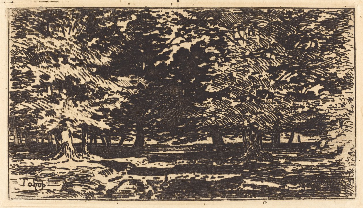 Orman. by Felix Hilaire Buhot