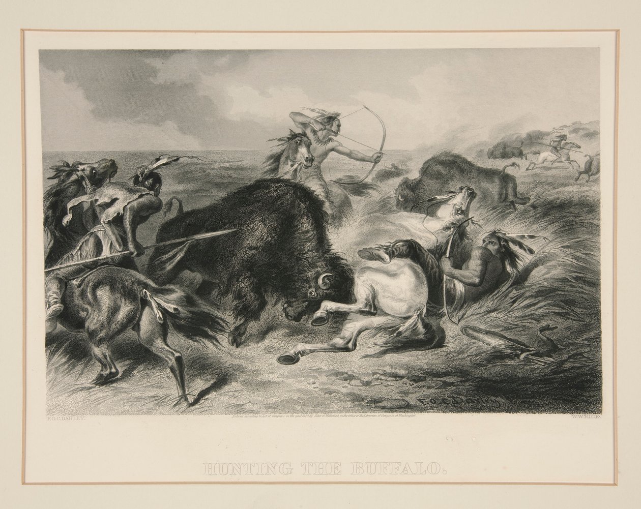 Bufalo avlamak by Felix O. C. Darley