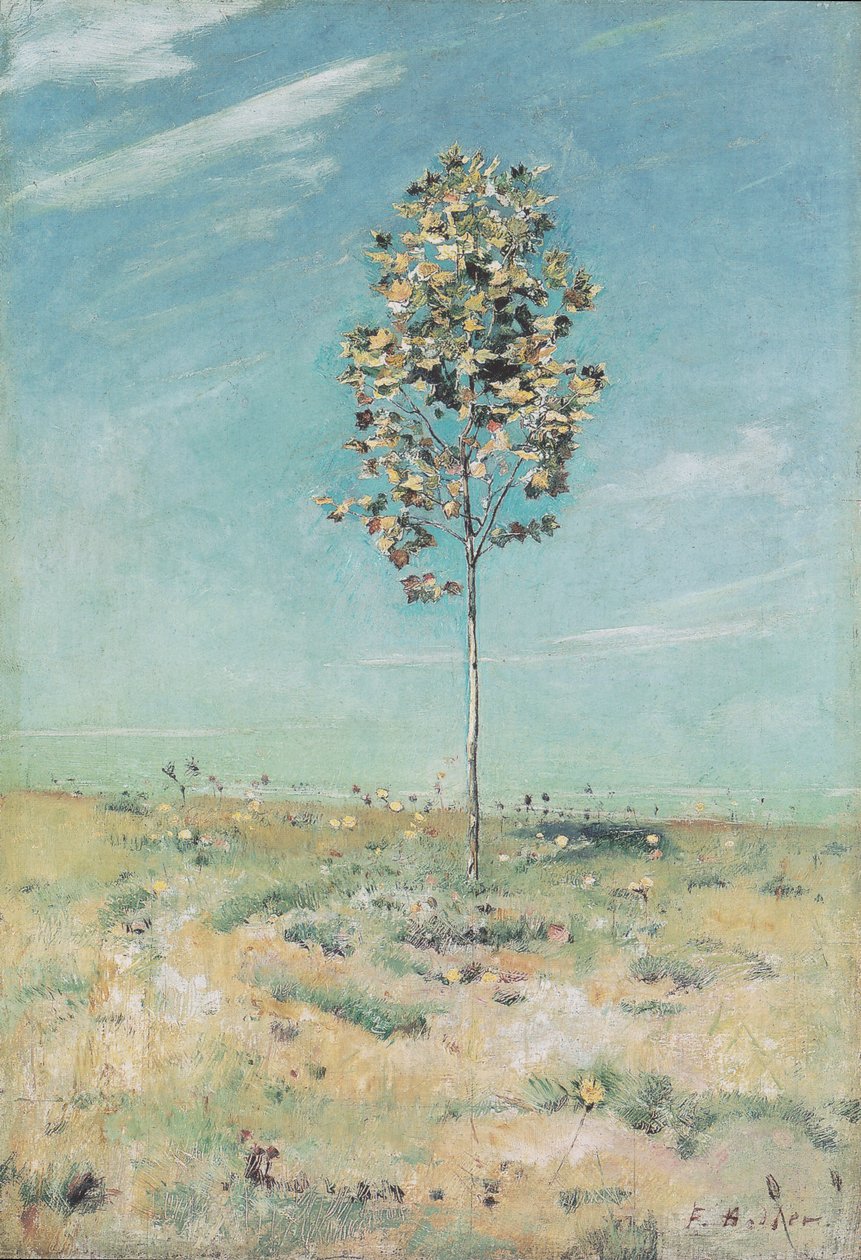 küçük branda by Ferdinand Hodler