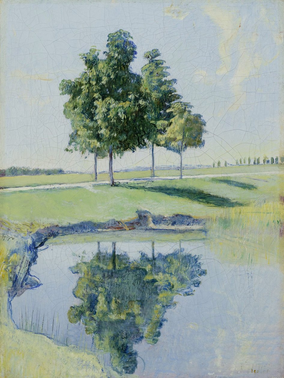 Kastanienbäume by Ferdinand Hodler