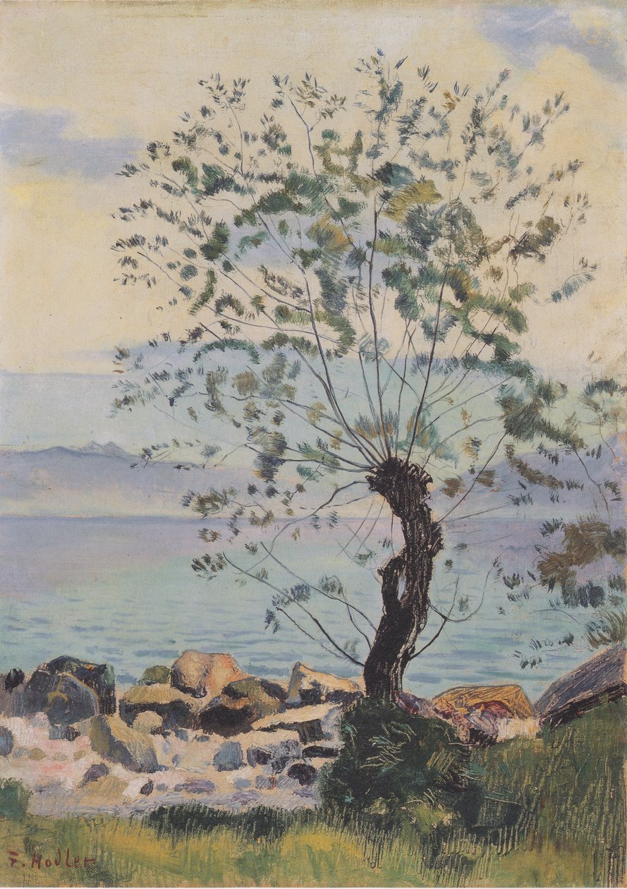 Weidebaum am See by Ferdinand Hodler