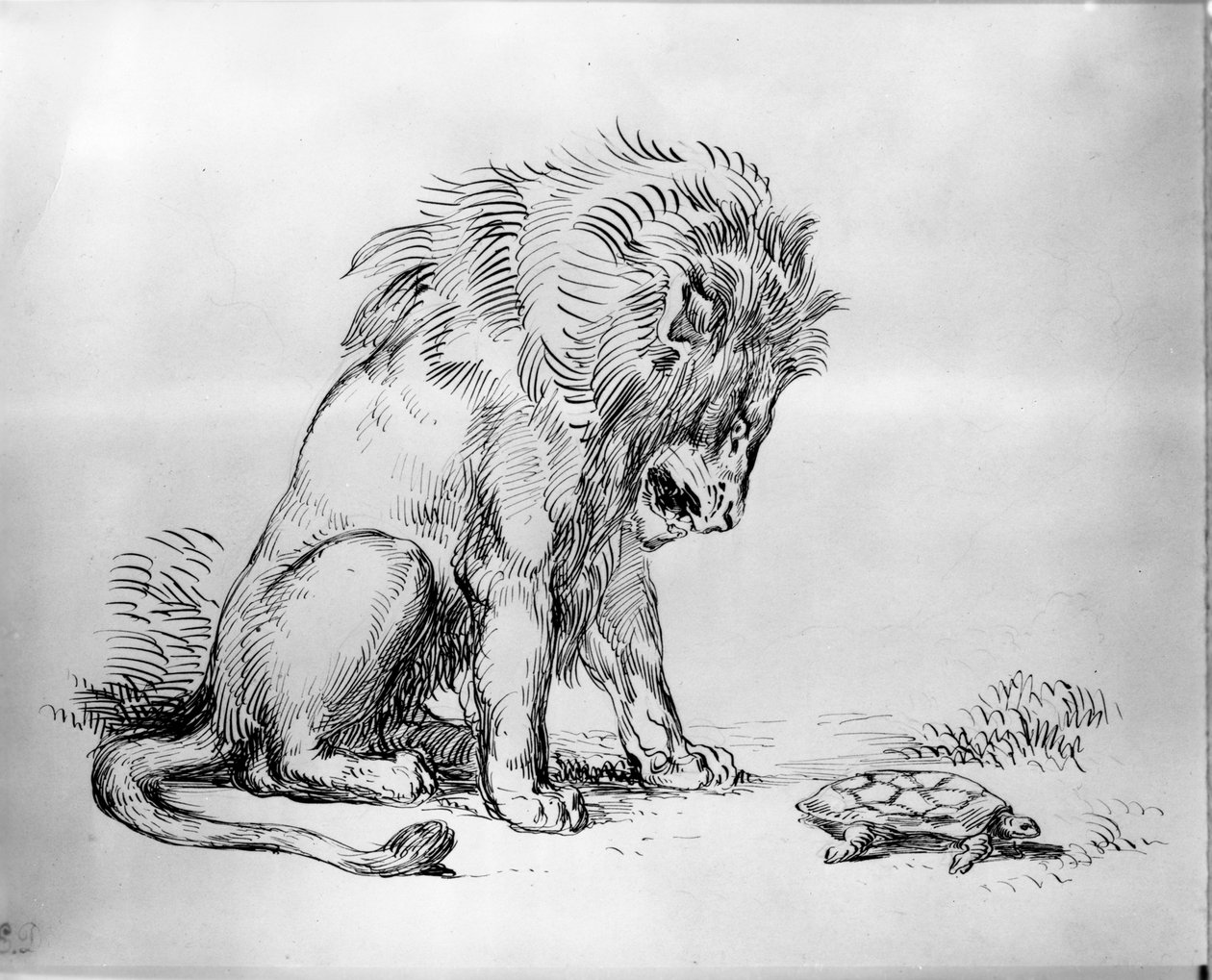 Aslan ve Kaplumbağa by Ferdinand Victor Eugene Delacroix