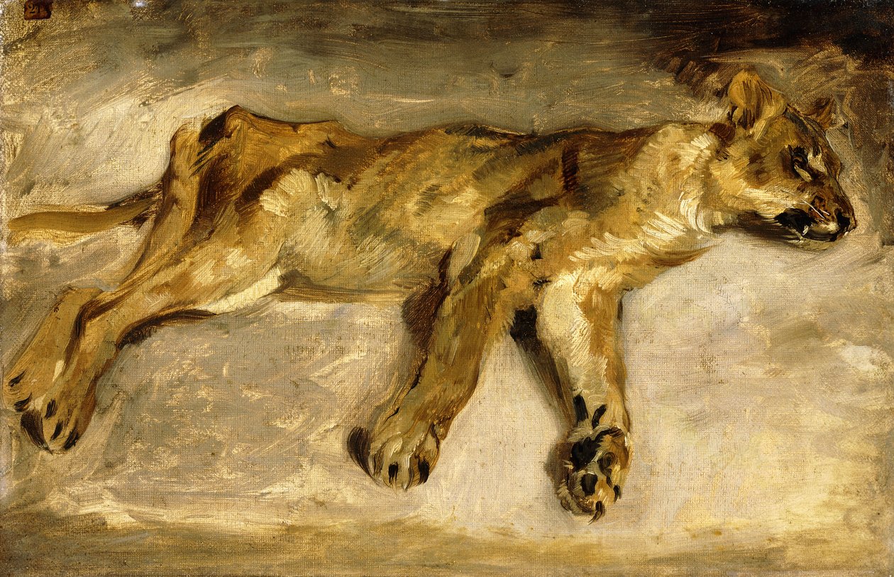 Uyuyan Bir Dişi Aslan, c.1830 by Ferdinand Victor Eugene Delacroix