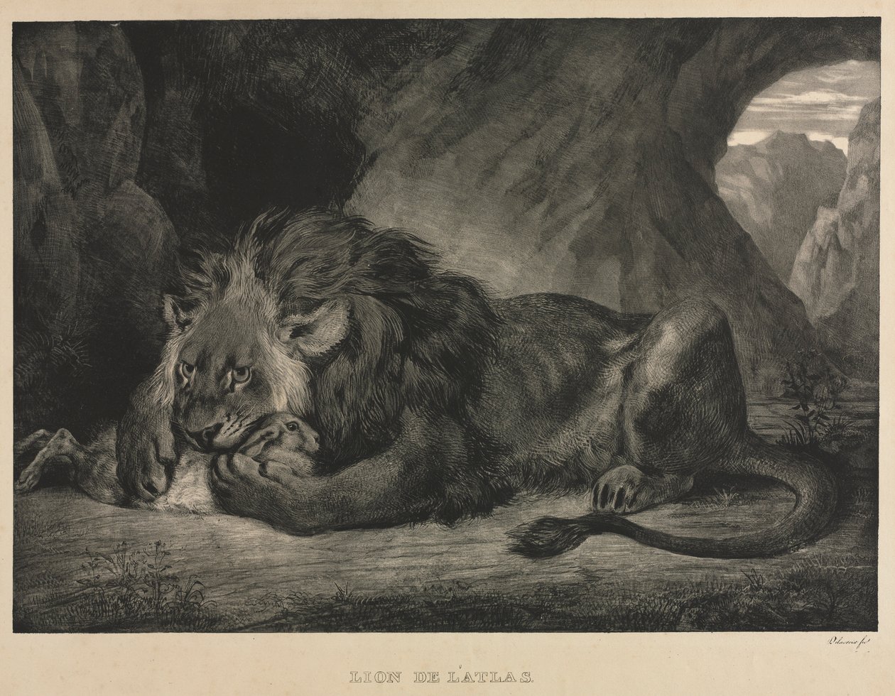Atlas Aslanı, 1829. by Ferdinand Victor Eugene Delacroix