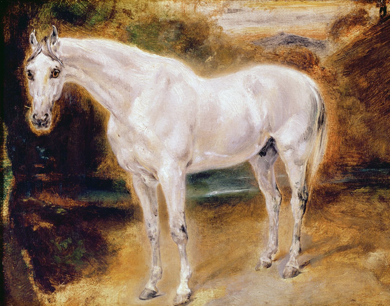 Beyaz at by Ferdinand Victor Eugene Delacroix