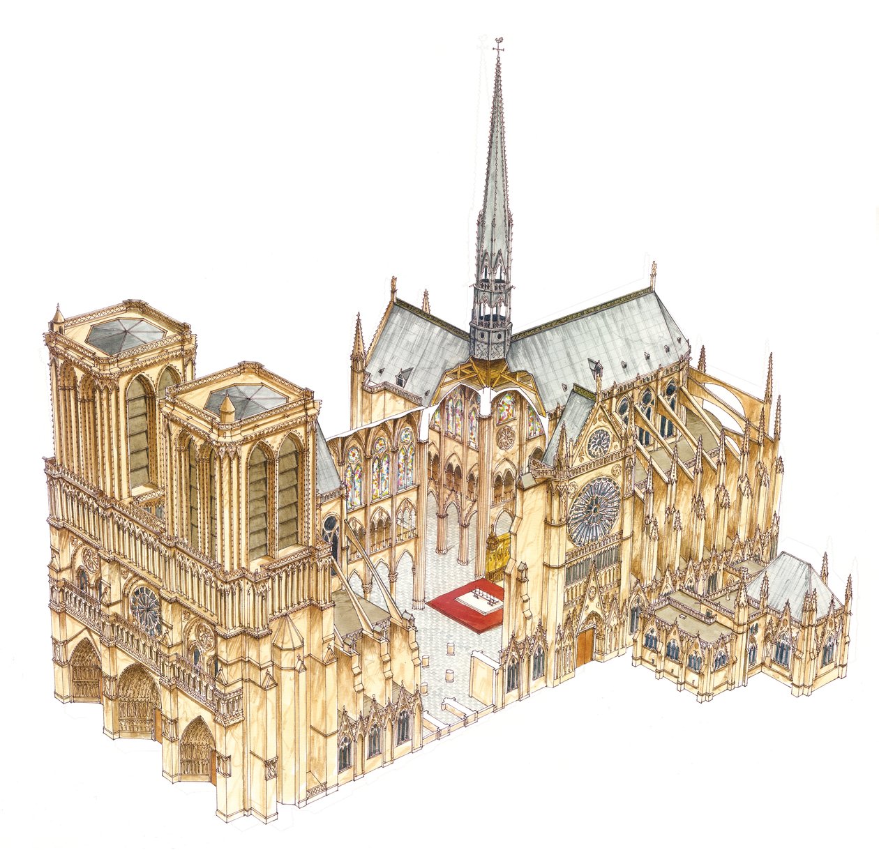 Notre Dame Katedrali. Paris, Fransa by Fernando Aznar Cenamor