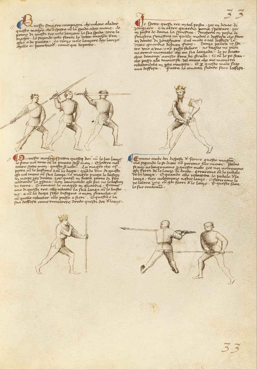 Özgürün Çiçeği by Fiore dei Liberi