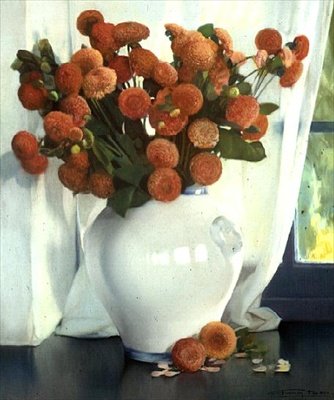 kırmızı yıldız çiçeği by Firmin Baes