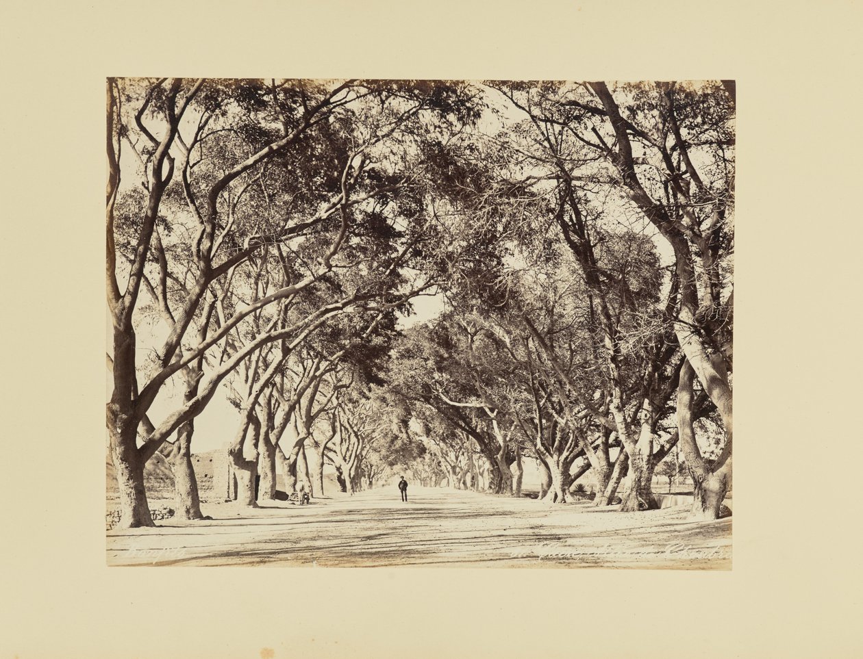  by Félix Bonfils