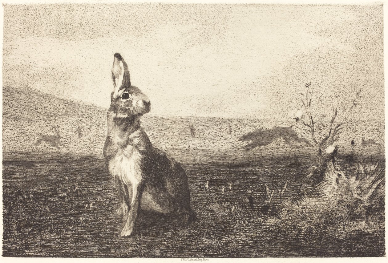 tavşan by Félix Bracquemond after Albert de Balleroy