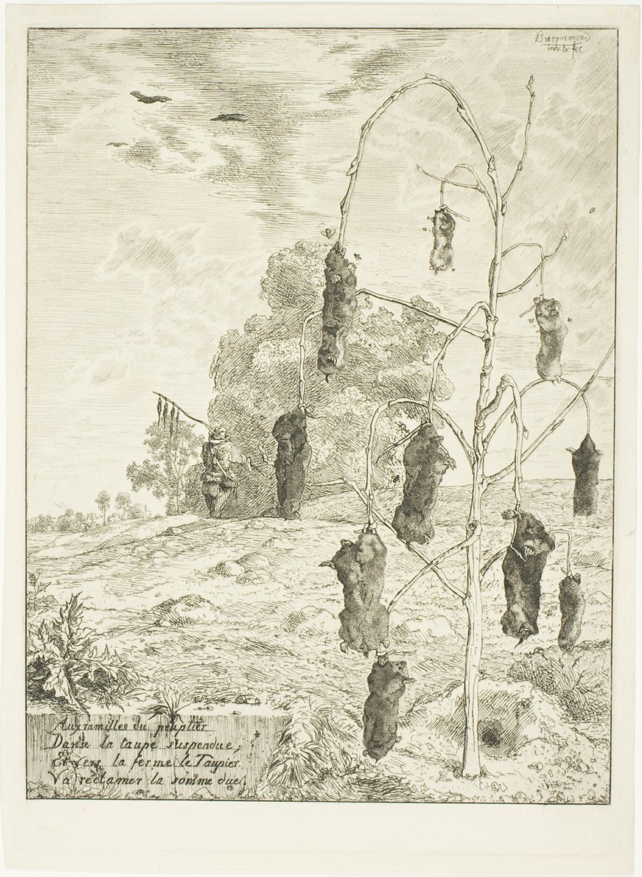  by Félix Henri Bracquemond