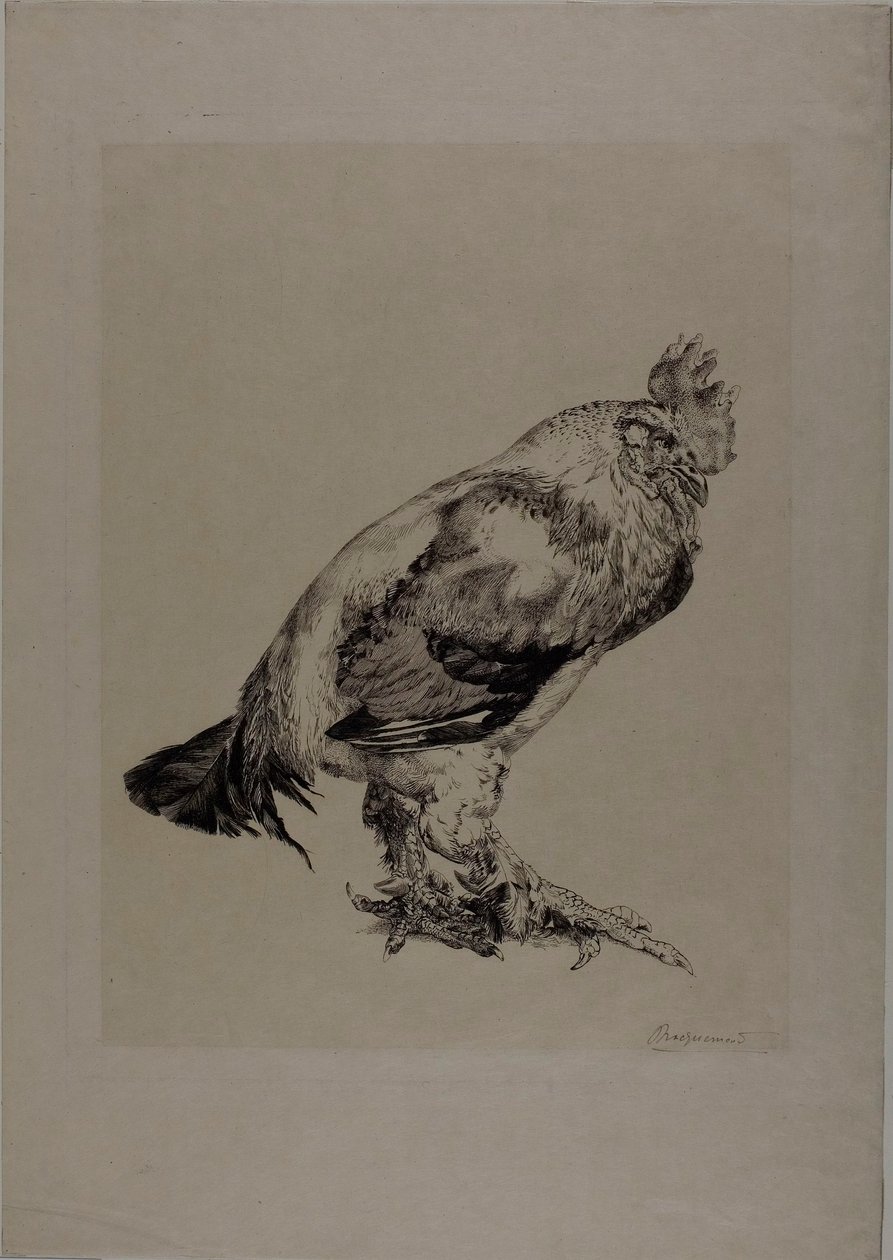  by Félix Henri Bracquemond