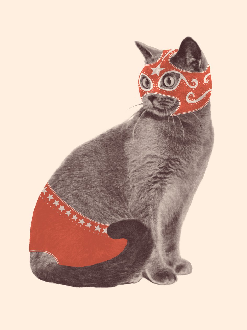 kedi güreşçisi by Florent Bodart