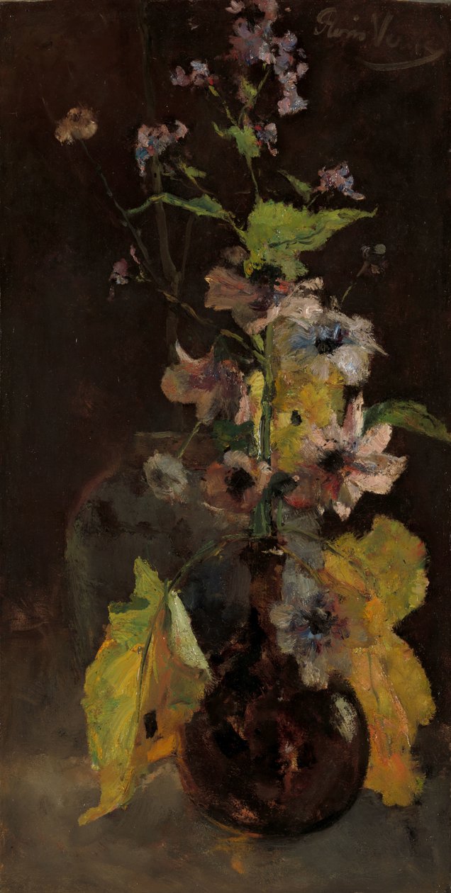 anemon by Floris Verster