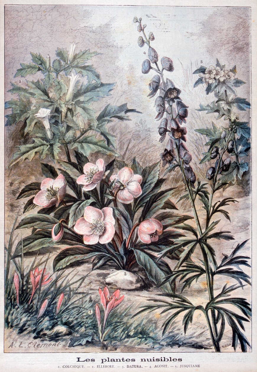 Zararlı bitkiler, 1897 by Fortuné Méaulle