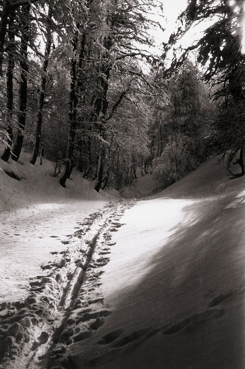  by Fosco Maraini