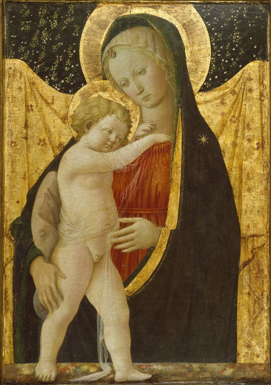 Madonna ve Çocuk, c.1446-47 (panelde tempera ve altın rengi) by Fra Filippo Lippi