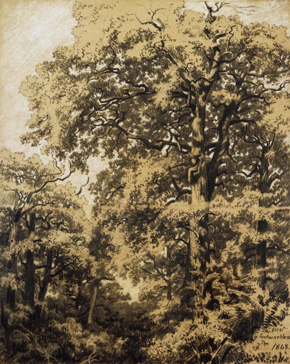 Fontainebleau Ormanı by Francesco Gamba