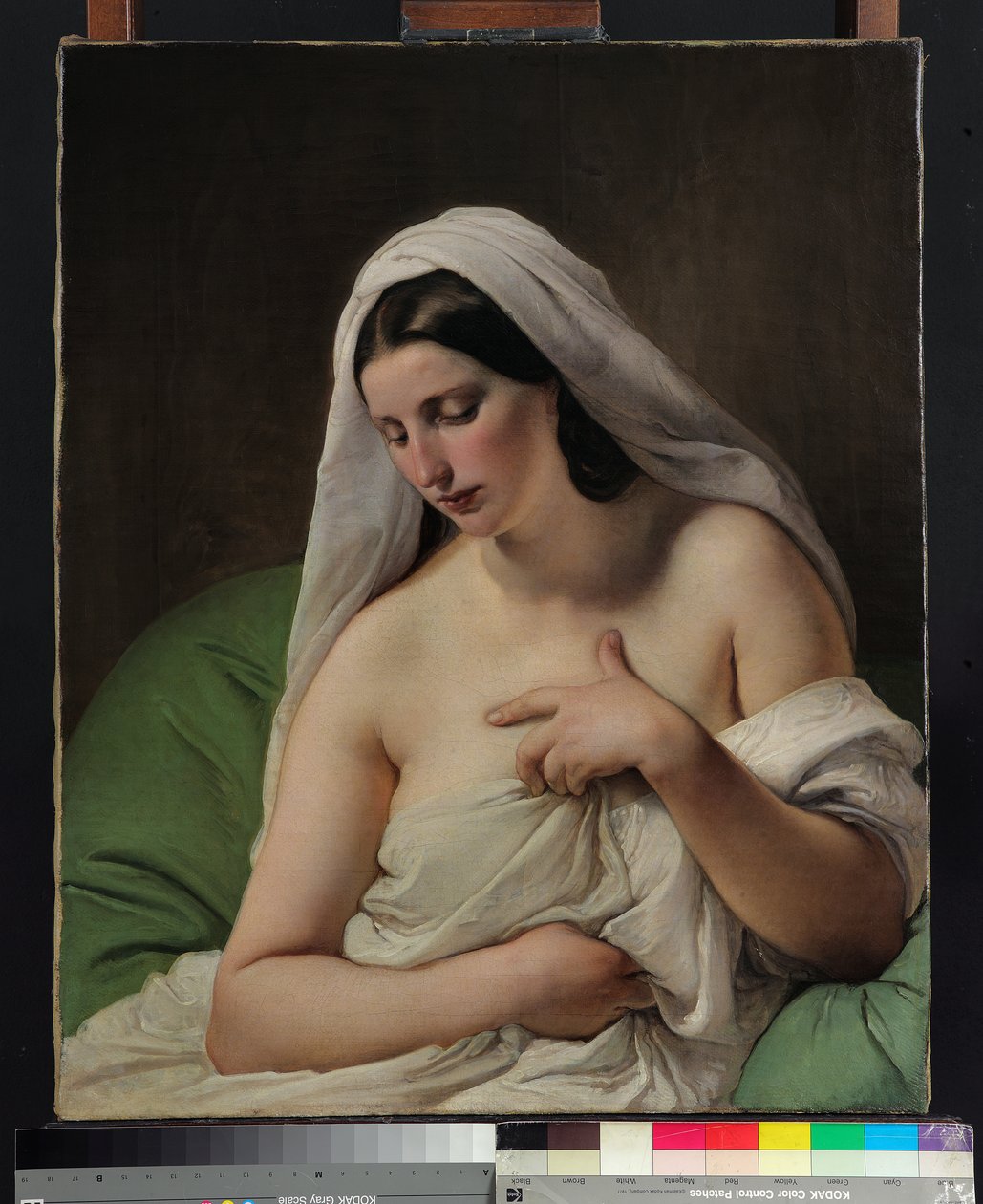 odalık by Francesco Hayez