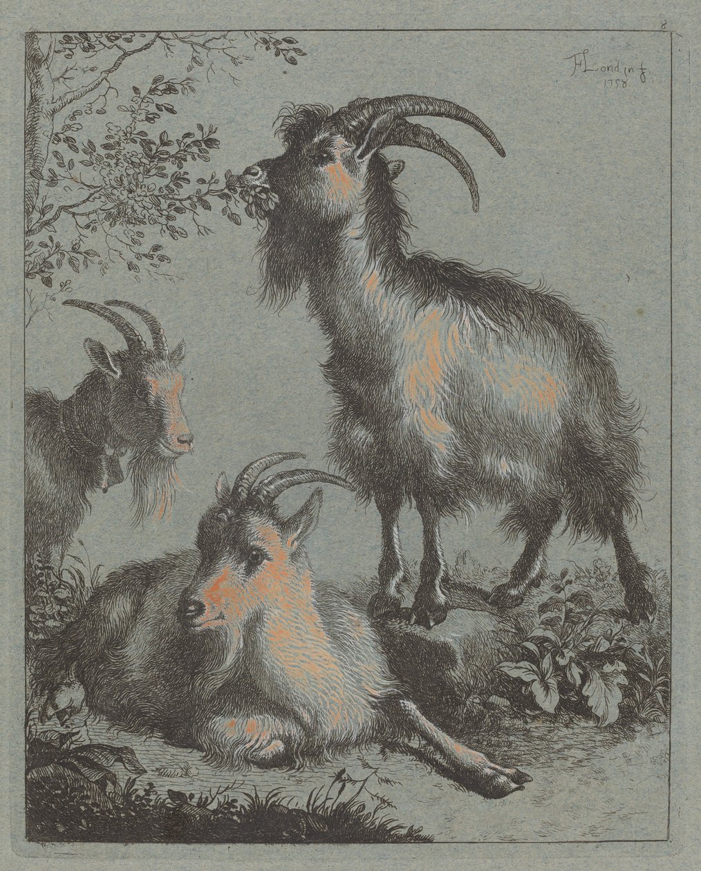 Üç Keçi, 1758. by Francesco Londonio