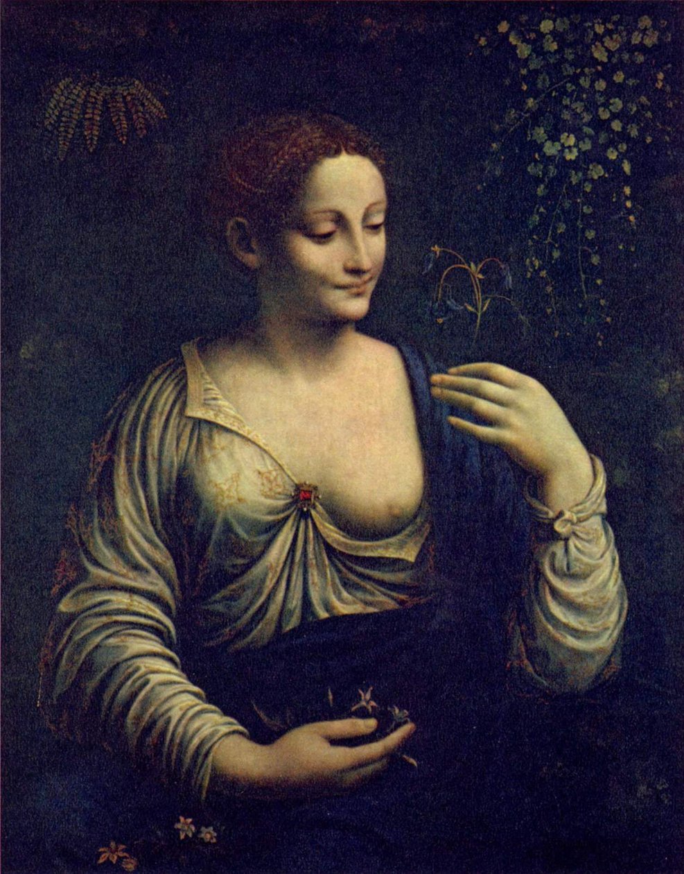 bitki örtüsü by Francesco Melzi