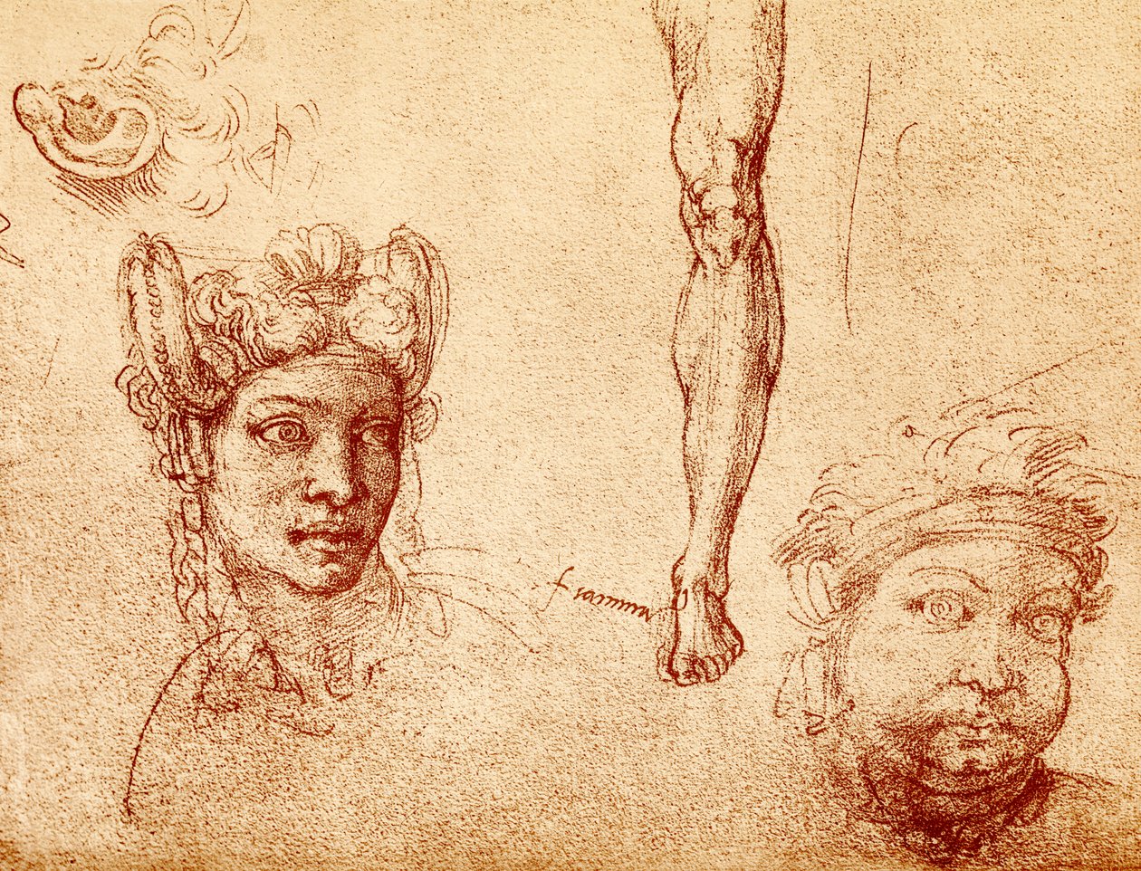 Head and leg studies by Francesco Ubertini Bacchiacca