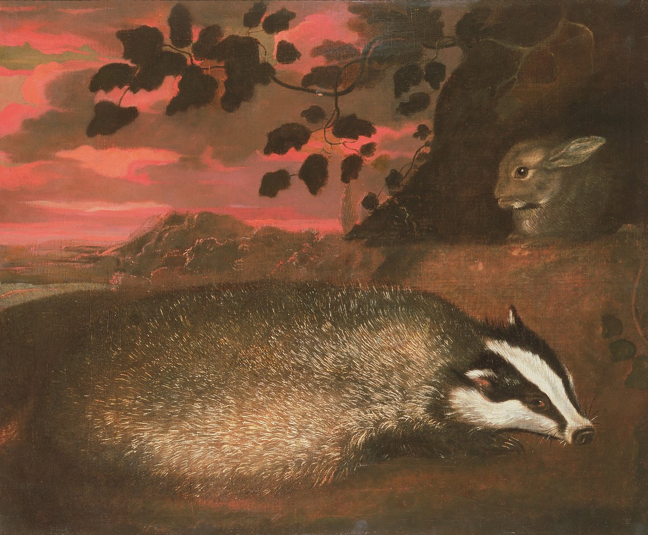 Badger, 17th century by Francis Barlow